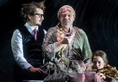 CANDIDE vagy a radikális optimizmus CANDIDE vagy a radikális optimizmus